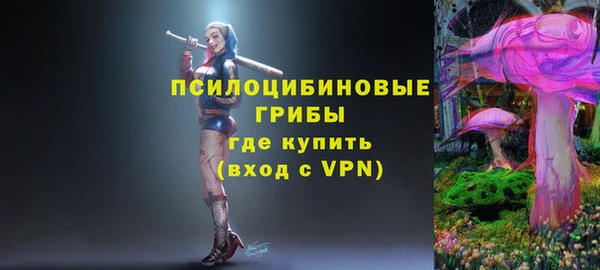 гидра Алзамай