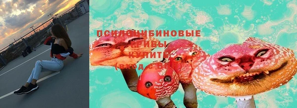 гашик Каменск-Шахтинский