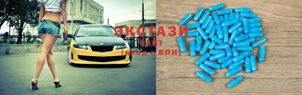 СК Алексин