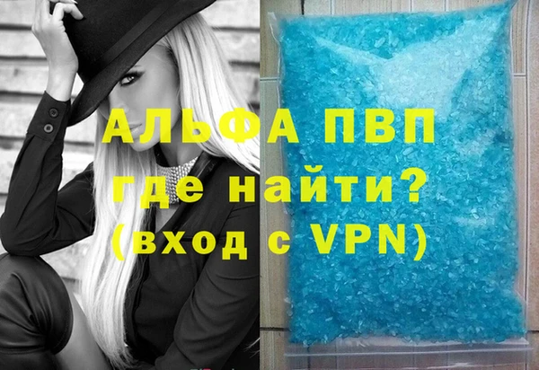СК Алексин