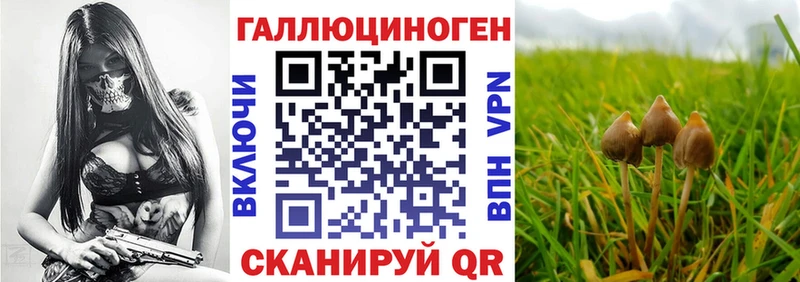 KRAKEN ONION  Анжеро-Судженск  Галлюциногенные грибы мухоморы 